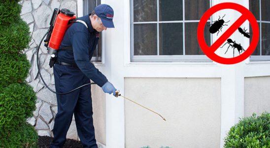 Samsun Dezenfeksiyon böcek ilaçlama ve haşere kontrolü — ilaclama-tr.com